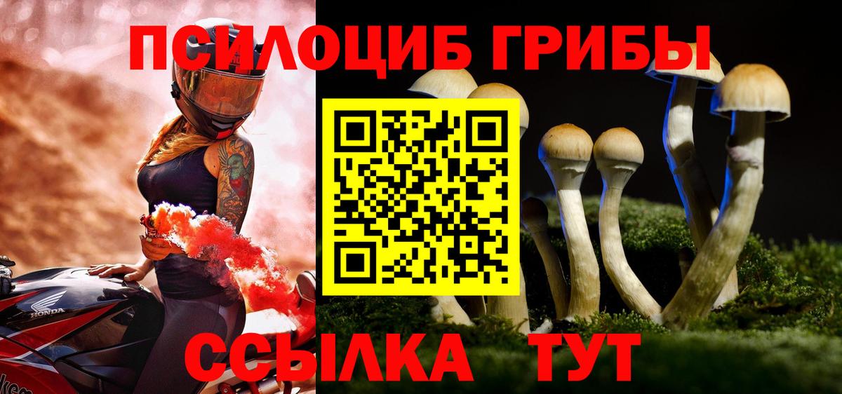 Галлюциногенные грибы мицелий  Галлюциногенные грибы Cubensis  Вход с VPN  Касимов 